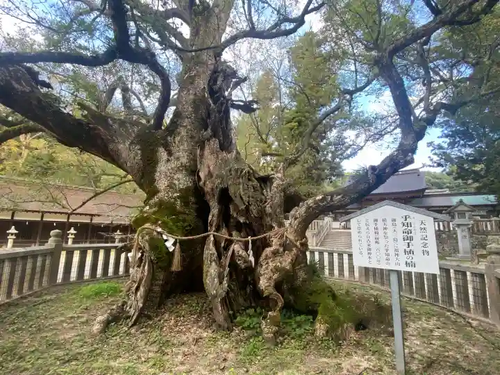 大山祇神社(愛媛県)