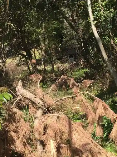 佐波波地祇神社の自然