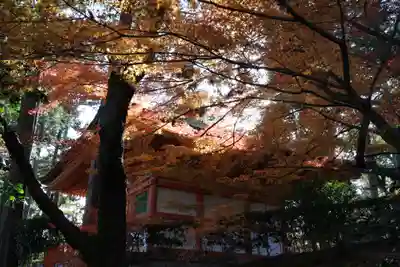 石山寺のその他建物