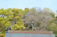 伊勢の国 四天王寺(三重県)