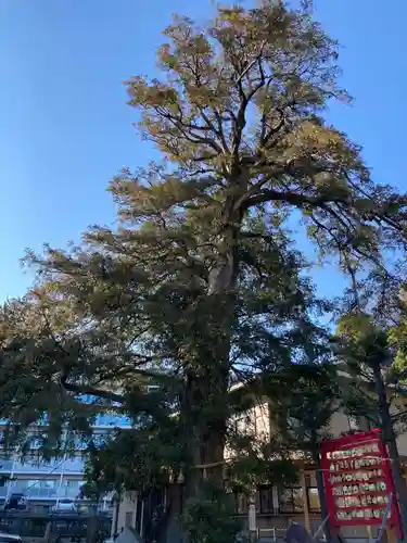 瀬戸神社の自然