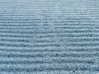 天龍寺の{uncategorized: "未分類", other: "その他", undefined: "問題あり", building: "その他建物", grave: "お墓", sacred_gate: "鳥居", guardian: "狛犬", statue: "像", buddha: "仏像", history: "歴史", nature: "自然", garden: "庭園", animal: "動物", pagoda: "塔", temizu: "手水舎", mountain_gate: "山門・神門", sanctuary: "本殿・本堂", subordinate: "末社・摂社", art: "芸術", scenery: "景色", jizo: "地蔵", ema: "絵馬", goshuin: "御朱印", omikuji: "おみくじ", items: "授与品その他", amulet: "お守り", goshuincho: "御朱印帳", eats: "食事", festival: "お祭り", votive_dance: "神楽", shichigosan: "七五三参", wedding: "結婚式", experience: "体験その他", initially: "初詣", around: "周辺", anti_infection: "感染症対策"}