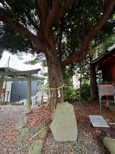 玉前神社(千葉県)