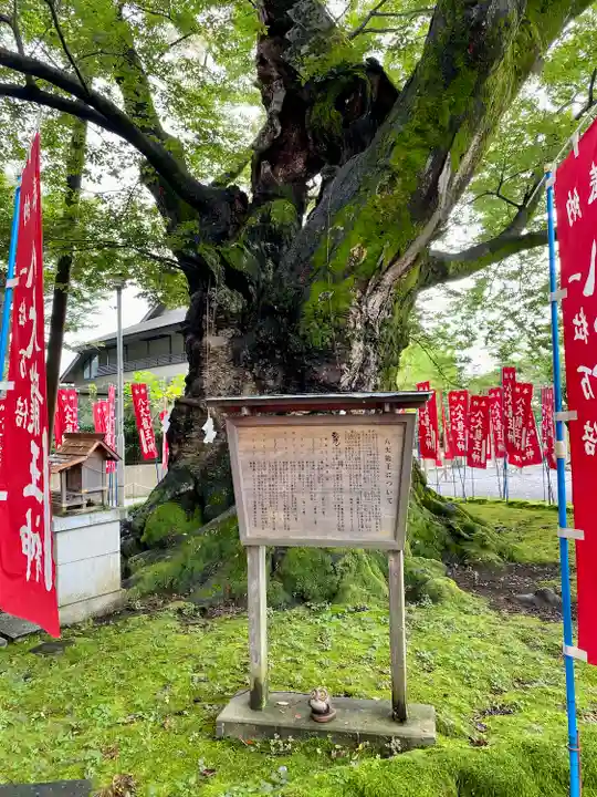 秩父今宮神社(埼玉県)