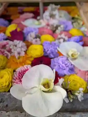 下谷神社(東京都)