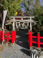 黒太夫社(出雲大神宮境外摂社)(京都府)