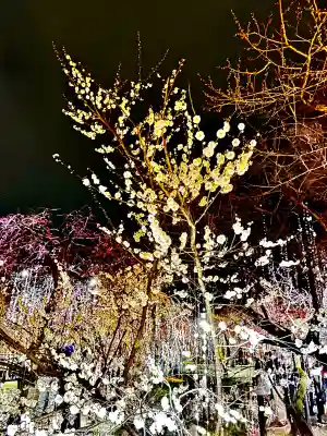 北野天満宮の{uncategorized: "未分類", other: "その他", undefined: "問題あり", building: "その他建物", grave: "お墓", sacred_gate: "鳥居", guardian: "狛犬", statue: "像", buddha: "仏像", history: "歴史", nature: "自然", garden: "庭園", animal: "動物", pagoda: "塔", temizu: "手水舎", mountain_gate: "山門・神門", sanctuary: "本殿・本堂", subordinate: "末社・摂社", art: "芸術", scenery: "景色", jizo: "地蔵", ema: "絵馬", goshuin: "御朱印", omikuji: "おみくじ", items: "授与品その他", amulet: "お守り", goshuincho: "御朱印帳", eats: "食事", festival: "お祭り", votive_dance: "神楽", shichigosan: "七五三参", wedding: "結婚式", experience: "体験その他", initially: "初詣", around: "周辺", anti_infection: "感染症対策"}