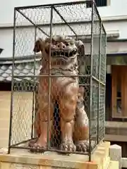 八坂神社(祇園さん)(京都府)