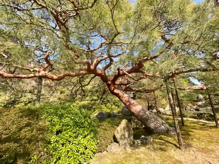城南宮(京都府)