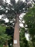 伊豆神社(千葉県)