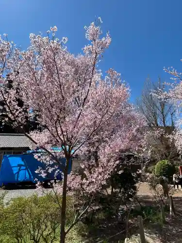 安養寺の{uncategorized: "未分類", other: "その他", undefined: "問題あり", building: "その他建物", grave: "お墓", sacred_gate: "鳥居", guardian: "狛犬", statue: "像", buddha: "仏像", history: "歴史", nature: "自然", garden: "庭園", animal: "動物", pagoda: "塔", temizu: "手水舎", mountain_gate: "山門・神門", sanctuary: "本殿・本堂", subordinate: "末社・摂社", art: "芸術", scenery: "景色", jizo: "地蔵", ema: "絵馬", goshuin: "御朱印", omikuji: "おみくじ", items: "授与品その他", amulet: "お守り", goshuincho: "御朱印帳", eats: "食事", festival: "お祭り", votive_dance: "神楽", shichigosan: "七五三参", wedding: "結婚式", experience: "体験その他", initially: "初詣", around: "周辺", anti_infection: "感染症対策"}