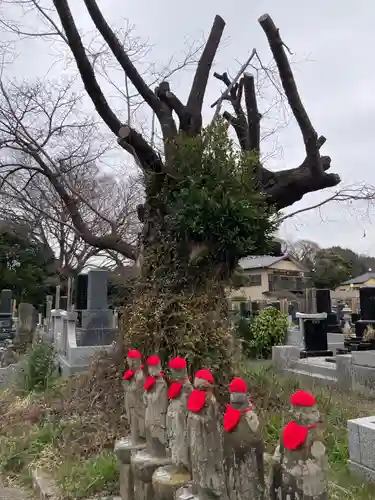 星谷寺(神奈川県)