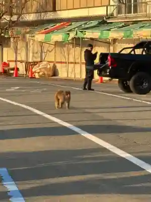 大崎寺(滋賀県)