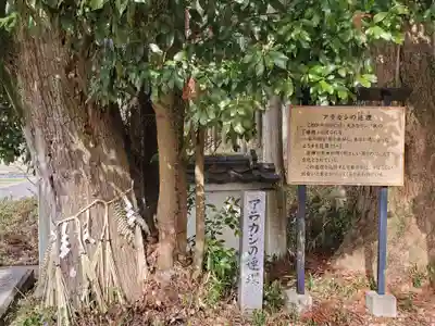 三坂神社の自然