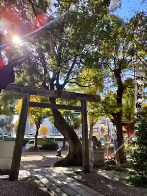 洲嵜神社の鳥居
