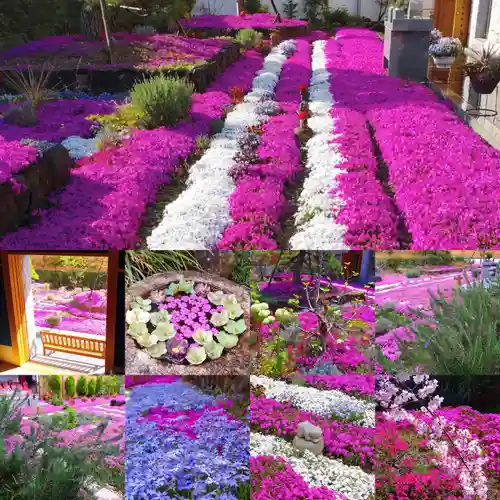 寿量山　速成寺(奈良県)