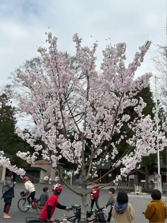 浅沼八幡宮(栃木県)