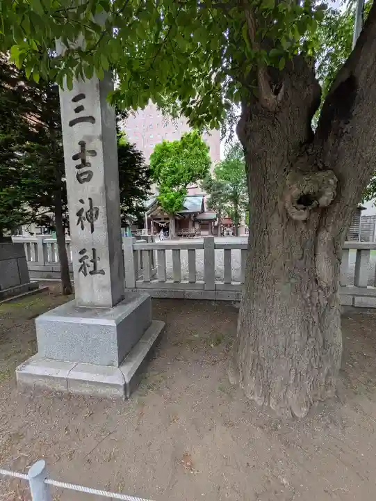 三吉神社の自然