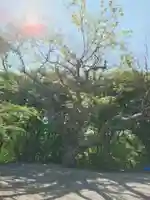 相馬神社(北海道)