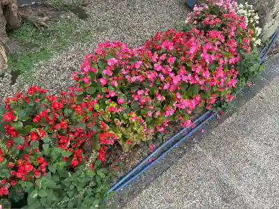 錦織神社(大阪府)