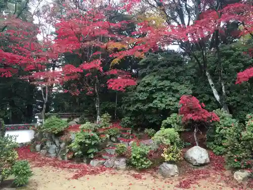 圓教寺の庭園