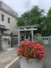 白山神社の鳥居