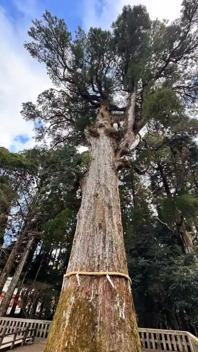 霧島神宮の{uncategorized: "未分類", other: "その他", undefined: "問題あり", building: "その他建物", grave: "お墓", sacred_gate: "鳥居", guardian: "狛犬", statue: "像", buddha: "仏像", history: "歴史", nature: "自然", garden: "庭園", animal: "動物", pagoda: "塔", temizu: "手水舎", mountain_gate: "山門・神門", sanctuary: "本殿・本堂", subordinate: "末社・摂社", art: "芸術", scenery: "景色", jizo: "地蔵", ema: "絵馬", goshuin: "御朱印", omikuji: "おみくじ", items: "授与品その他", amulet: "お守り", goshuincho: "御朱印帳", eats: "食事", festival: "お祭り", votive_dance: "神楽", shichigosan: "七五三参", wedding: "結婚式", experience: "体験その他", initially: "初詣", around: "周辺", anti_infection: "感染症対策"}
