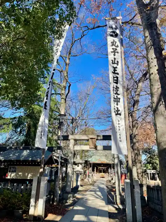 丸子山王日枝神社(神奈川県)