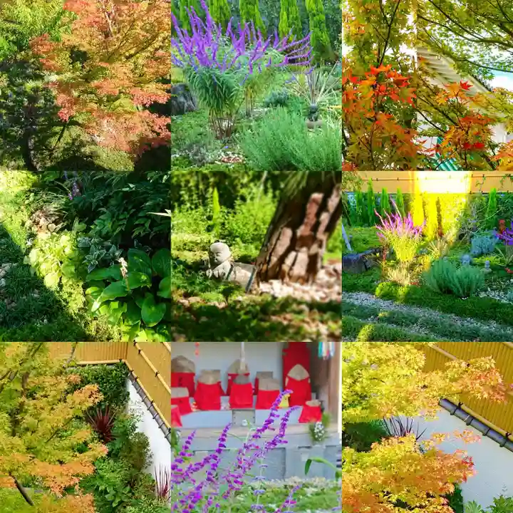 寿量山 速成寺の自然