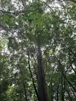 伊勢神宮外宮(豊受大神宮)(三重県)