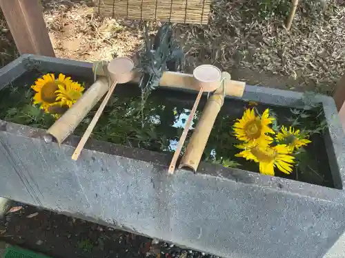 下野 星宮神社の{uncategorized: "未分類", other: "その他", undefined: "問題あり", building: "その他建物", grave: "お墓", sacred_gate: "鳥居", guardian: "狛犬", statue: "像", buddha: "仏像", history: "歴史", nature: "自然", garden: "庭園", animal: "動物", pagoda: "塔", temizu: "手水舎", mountain_gate: "山門・神門", sanctuary: "本殿・本堂", subordinate: "末社・摂社", art: "芸術", scenery: "景色", jizo: "地蔵", ema: "絵馬", goshuin: "御朱印", omikuji: "おみくじ", items: "授与品その他", amulet: "お守り", goshuincho: "御朱印帳", eats: "食事", festival: "お祭り", votive_dance: "神楽", shichigosan: "七五三参", wedding: "結婚式", experience: "体験その他", initially: "初詣", around: "周辺", anti_infection: "感染症対策"}