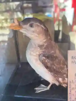 善知鳥神社(青森県)