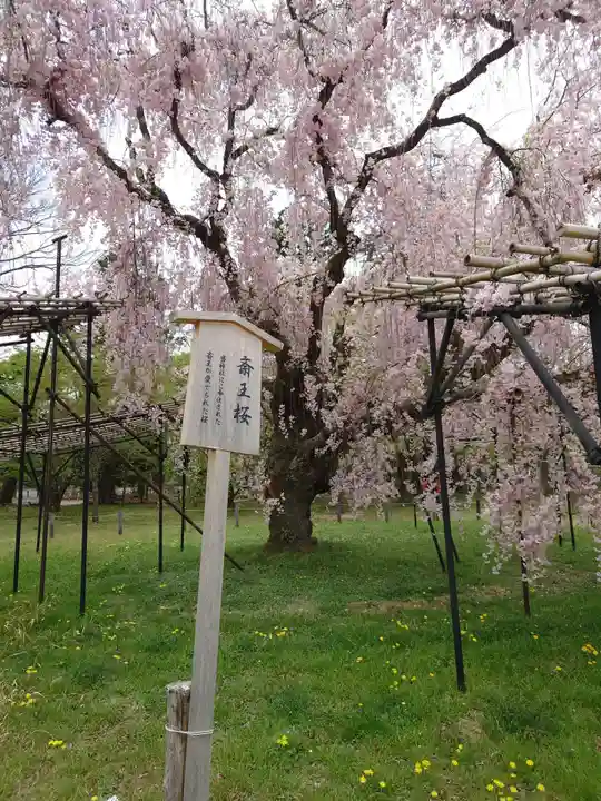 賀茂別雷神社(上賀茂神社)の庭園