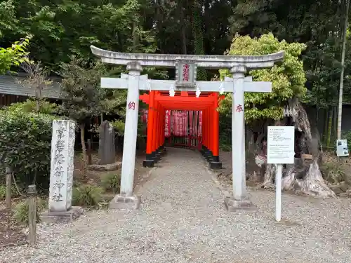 常磐神社の{uncategorized: "未分類", other: "その他", undefined: "問題あり", building: "その他建物", grave: "お墓", sacred_gate: "鳥居", guardian: "狛犬", statue: "像", buddha: "仏像", history: "歴史", nature: "自然", garden: "庭園", animal: "動物", pagoda: "塔", temizu: "手水舎", mountain_gate: "山門・神門", sanctuary: "本殿・本堂", subordinate: "末社・摂社", art: "芸術", scenery: "景色", jizo: "地蔵", ema: "絵馬", goshuin: "御朱印", omikuji: "おみくじ", items: "授与品その他", amulet: "お守り", goshuincho: "御朱印帳", eats: "食事", festival: "お祭り", votive_dance: "神楽", shichigosan: "七五三参", wedding: "結婚式", experience: "体験その他", initially: "初詣", around: "周辺", anti_infection: "感染症対策"}