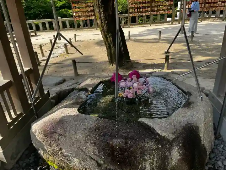 宝満宮竈門神社の{uncategorized: "未分類", other: "その他", undefined: "問題あり", building: "その他建物", grave: "お墓", sacred_gate: "鳥居", guardian: "狛犬", statue: "像", buddha: "仏像", history: "歴史", nature: "自然", garden: "庭園", animal: "動物", pagoda: "塔", temizu: "手水舎", mountain_gate: "山門・神門", sanctuary: "本殿・本堂", subordinate: "末社・摂社", art: "芸術", scenery: "景色", jizo: "地蔵", ema: "絵馬", goshuin: "御朱印", omikuji: "おみくじ", items: "授与品その他", amulet: "お守り", goshuincho: "御朱印帳", eats: "食事", festival: "お祭り", votive_dance: "神楽", shichigosan: "七五三参", wedding: "結婚式", experience: "体験その他", initially: "初詣", around: "周辺", anti_infection: "感染症対策"}