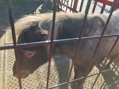 神田神社（神田明神）(東京都)