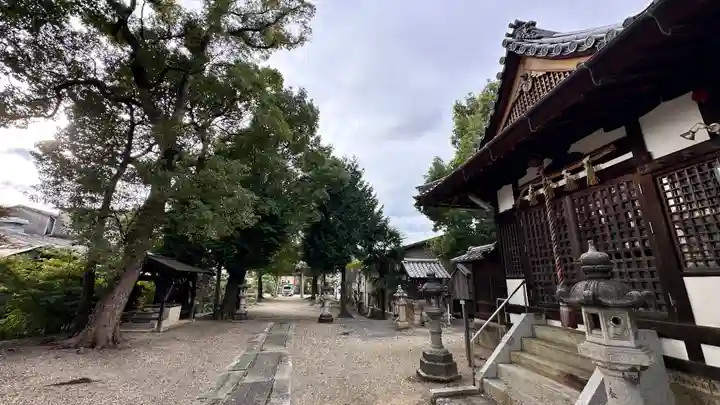 飛鳥田神社(京都府)