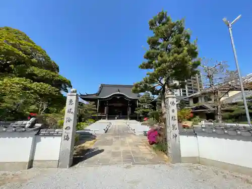 近松寺の山門