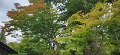 普門院（文知摺観音）の周辺