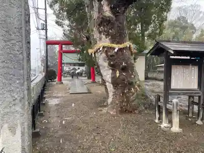 関本神社(茨城県)