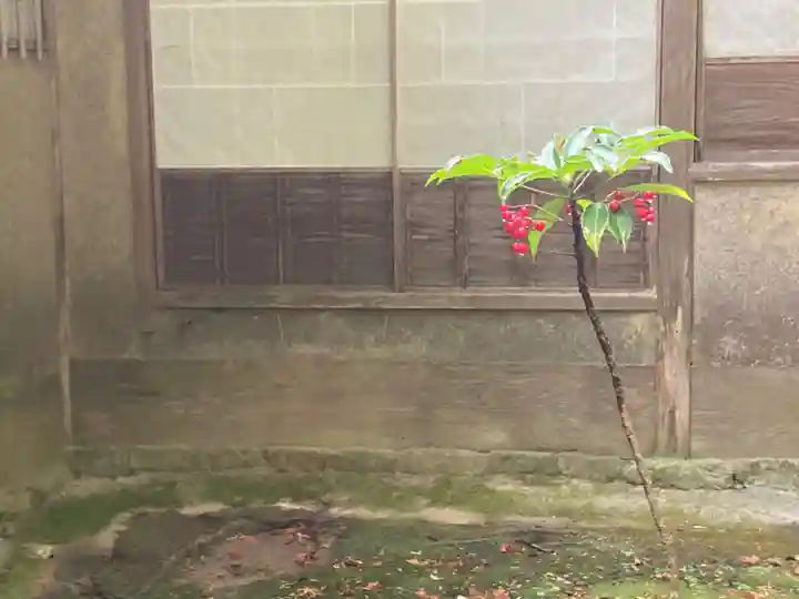 西芳寺のその他建物