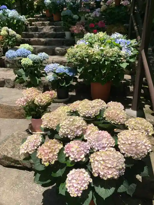 長谷寺(奈良県)