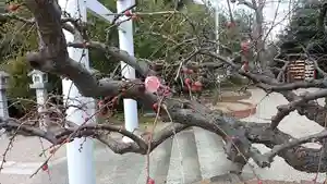 比佐豆知神社(三重県)(2026年02月06日(金) 10時17分07秒投稿)