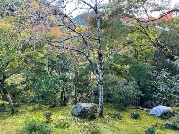 高山寺(京都府)