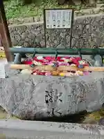 岡寺(龍蓋寺)(奈良県)