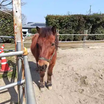 八幡神社（妻木）(岐阜県)