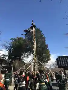 賀茂別雷神社(栃木県) 2025年01月05日(日)〜(2025年01月04日(土) 16時28分44秒投稿)