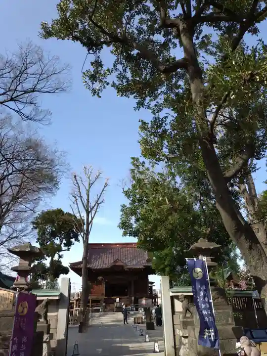 戸越八幡神社土光洋子コラボ八月限定御朱印 戸越八幡神社土光洋子コラボ八月限定御朱印