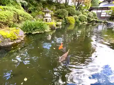 温泉寺(長野県)