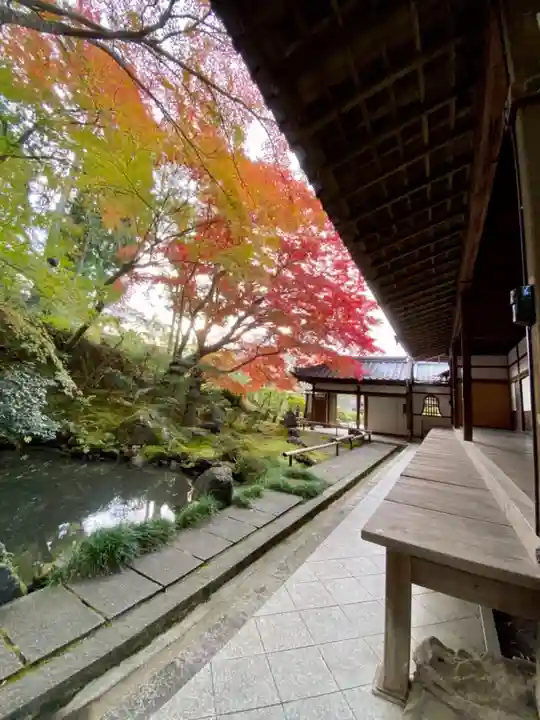 榮攝院(栄摂院)の庭園
